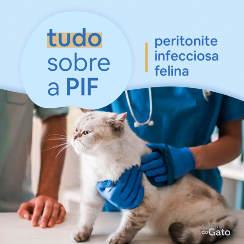 O que é a PIF?