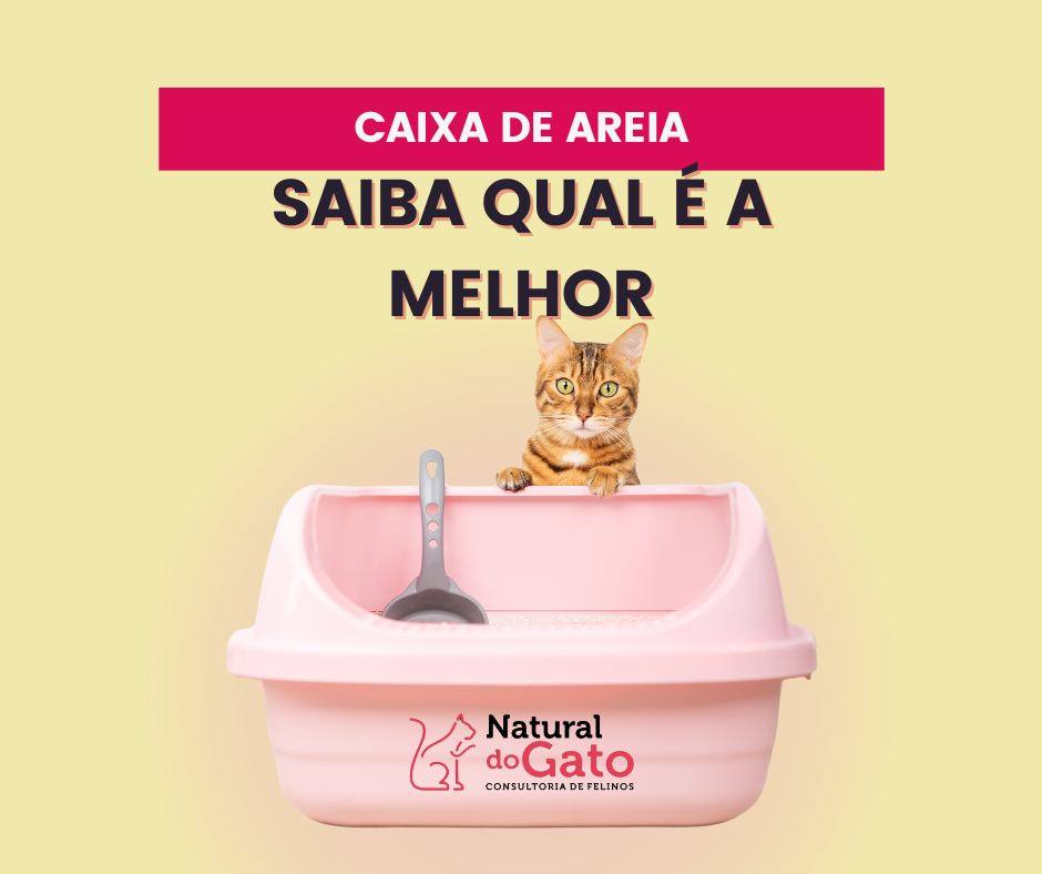 Caixas de areia: como escolher?