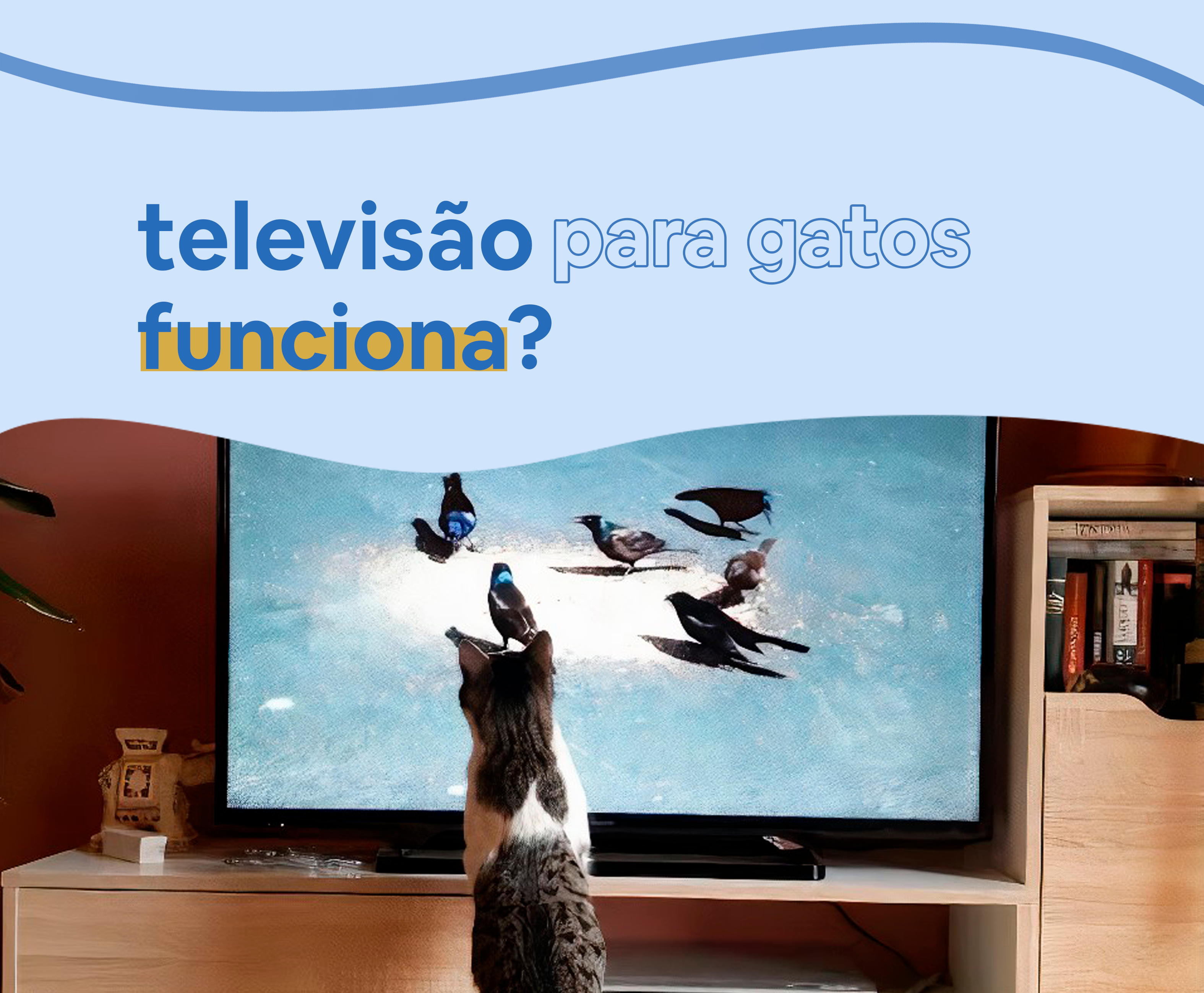 TV para gatos funciona?