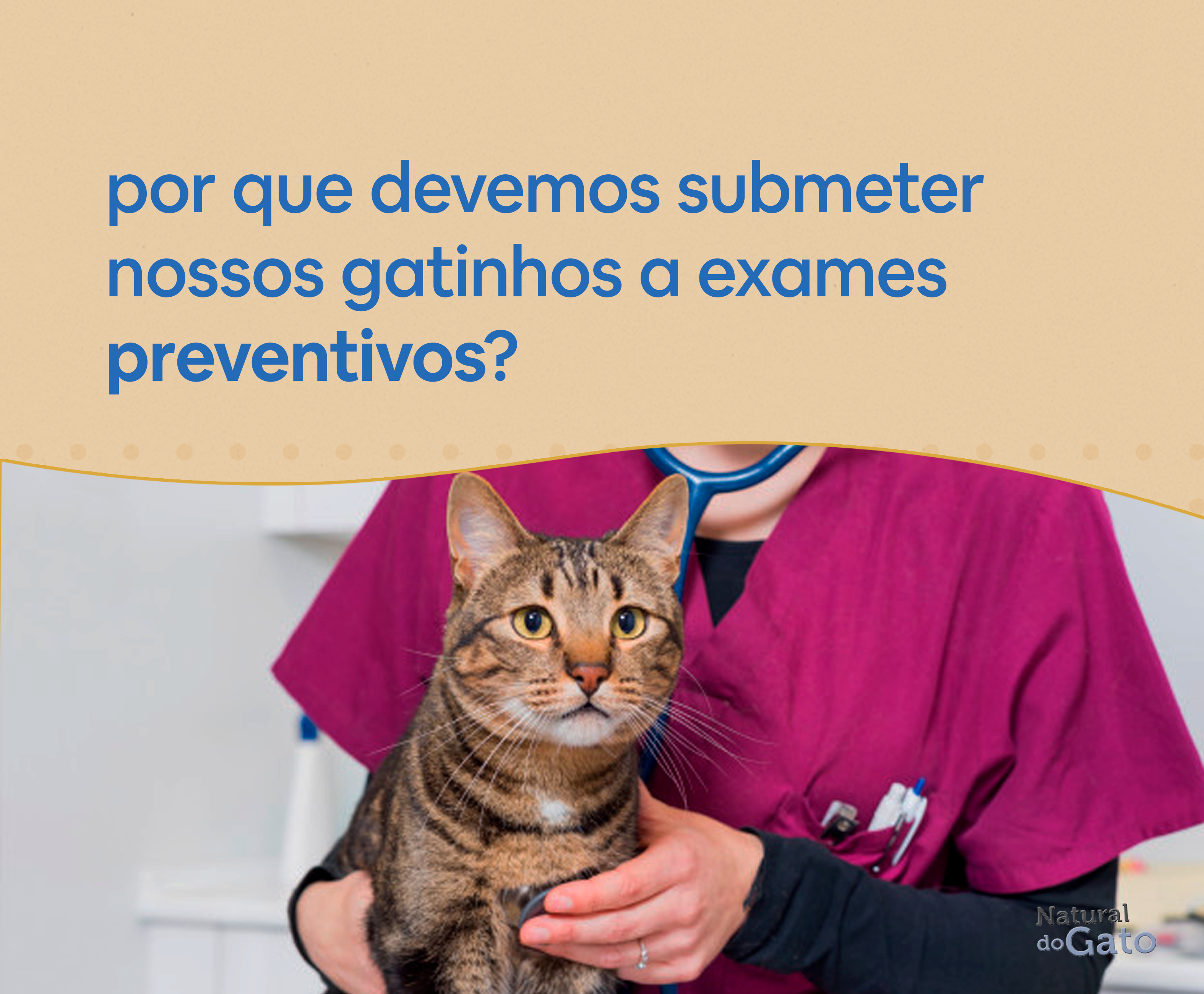 Por que devemos submeter nossos gatinhos a exames preventivos??