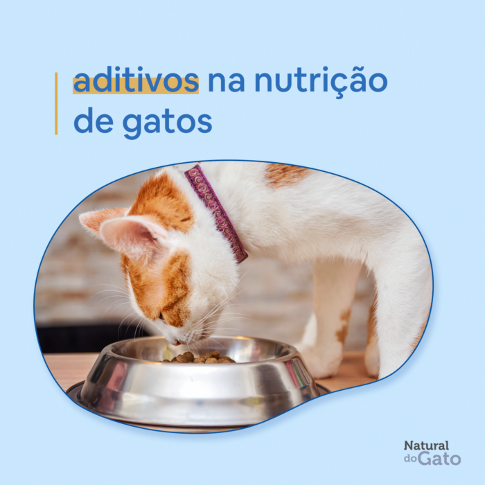 Aditivos utilizados na nutrição felina